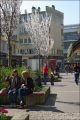 marie-christine-chantrait - BANCS PUBLICS