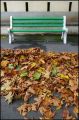 l'inconscience mène au vide - BANCS PUBLICS