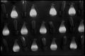 Apprenons à nous connaitre... - ...Amour Lumière Beauté