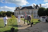 marie-christine-chantrait - 1, 2, 3...cheval