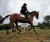 marie-christine-chantrait - 1, 2, 3...cheval