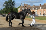 marie-christine-chantrait - 1, 2, 3...cheval