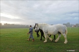marie-christine-chantrait - 1, 2, 3...cheval