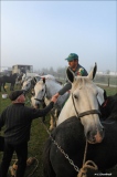 marie-christine-chantrait - 1, 2, 3...cheval