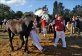 marie-christine-chantrait - 1, 2, 3...cheval
