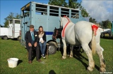 marie-christine-chantrait - 1, 2, 3...cheval